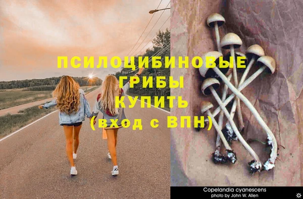 СК Гусь-Хрустальный