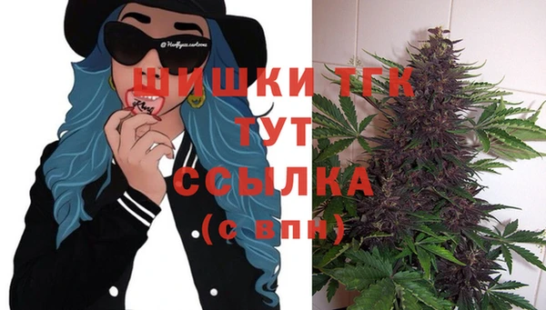 СК Гусь-Хрустальный