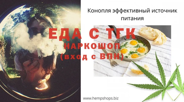 СК Гусь-Хрустальный