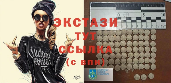 мдпв Гусев
