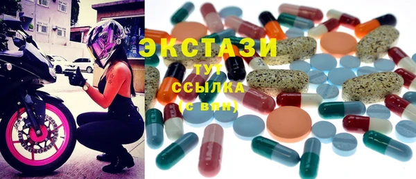 мдпв Гусев