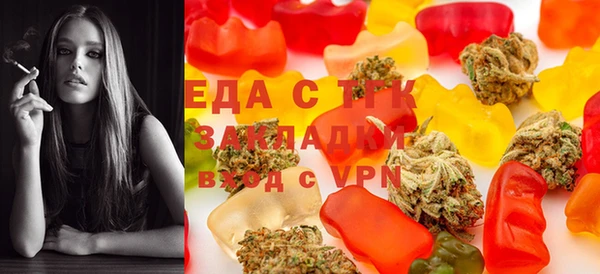 мдпв Гусев