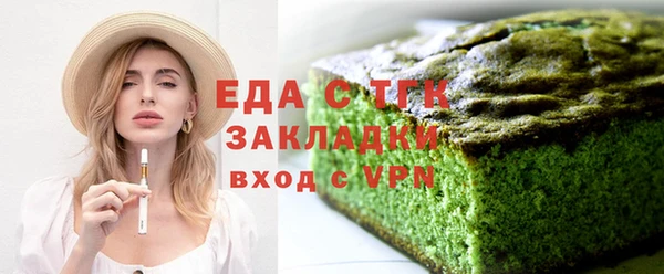 мдпв Гусев